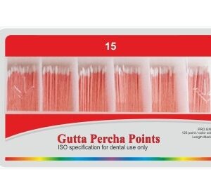 POINTS DE GUTTA PERCHA